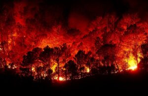 Grillverbot auf öffentlichen Frei- und Grünflächen der Gemeinde Bischofsheim
