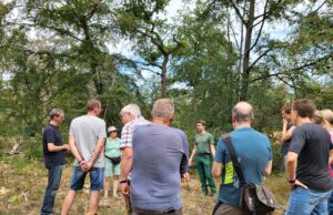 Waldspaziergang am 9. August 2023