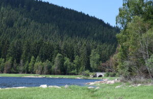 Rauschende Bäche, dunkle Wälder und romantische Schluchten Natur pur im höchsten Luftkurort im Südschwarzwald