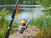 19. August 2023: Sommerfest und Angelflohmarkt am Hochheimer Silbersee Frisch geräucherte Forellen und Backfisch in gemütlicher Atmosphäre genießen