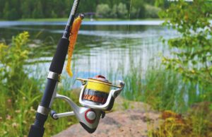 Sommerfest und Angelflohmarkt am Hochheimer Silbersee am 19.08.2023 Frisch geräucherte Forellen und Backfisch in gemütlicher Atmosphäre genießen