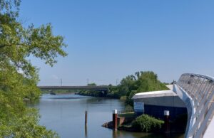 Am Main entlang zur Eddersheimer Schleuse: Wilmas Wandertouren gehen weiter