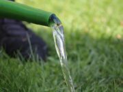 Unterstützung bei Bewässerung der Stadtbäume erwünscht