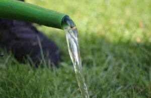 Unterstützung bei Bewässerung der Stadtbäume erwünscht