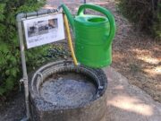Die Suche nach Gießkannen auf dem Bischofsheimer Friedhof