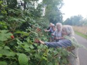 Gemeinsam die Stadt neu entdecken – Spazier-Treff für Senior*innen