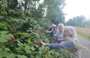 Gemeinsam die Stadt neu entdecken – Spazier-Treff für Senior*innen