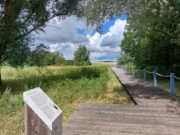 Neue Wandertour online: mit Wilma zum Wickerer Weidenpavillon