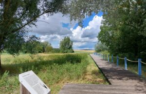 Neue Wandertour online: mit Wilma zum Wickerer Weidenpavillon