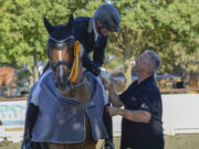 Gutes tun und Eleganz und Kraft aus nächster Nähe genießen Reitsport >>> Dressur- und Springturnier in Mainz-Bretzenheim naht