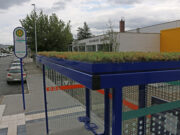 Bushaltestellen: barrierefrei und begrünt