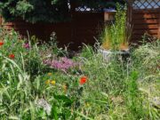 Gutes tun für Körper, Seele und Natur Charity-Veranstaltung zugunsten der Naturschutzgruppe Bodenheim