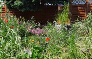 Gutes tun für Körper, Seele und Natur Charity-Veranstaltung zugunsten der Naturschutzgruppe Bodenheim