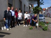 Baumscheiben müssen besser geschützt werden Hechtsheimer Gewerbeverein stellt neue Hinweisschilder auf