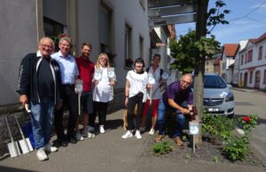 Baumscheiben müssen besser geschützt werden Hechtsheimer Gewerbeverein stellt neue Hinweisschilder auf