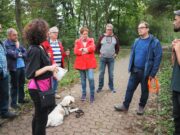 Ideensammlung für den Wald Rundgang >>> Waldrundgang auf dem Lerchenberg mit Ortsvorsteherin Sissi Westrich