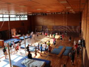 Volleyball, Turnen, Leichtathletik und mehr