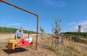 Neuer Schwung für Nierstein Spende >>> Stadt erhält eine Weinbergsschaukel