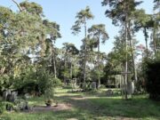 Wo die Geschichte ruht Führung über den Rüsselsheimer Waldfriedhof