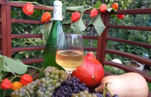 Federweißer-Abend bei der TG Kastel