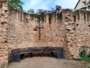 „Und Gott, der Herr pflanzte einen Garten Eden gegen Osten hin.“ (1. Mose 2, 8) Kirche >>> Der Bibelgarten der Niersteiner Martinskirche