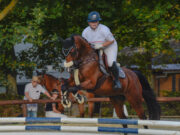 Reiten unter dem Zeichen der Hoffnung Charity >>> Spring- und Dressurturnier in Bretzenheim wirbt für DKMS