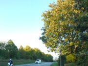 Gewünschter Radweg nach Gonsenheim lässt weiter auf sich warten Ortsvorsteher Solbach ärgert sich über ausbleibende Antwort der Verwaltung