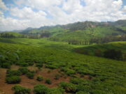 Benefizabend für Ruanda Ruanda-Partnerschaft stellt das afrikanische Land vor