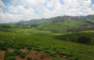 Benefizabend für Ruanda Ruanda-Partnerschaft stellt das afrikanische Land vor