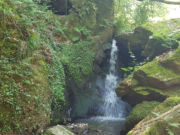 TG Kastel Wanderung im Oktober