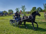 Alle Rheinhessenmeister im Gespannfahren kommen aus Mainz-Gonsenheim Alle Rheinhessenmeister im Gespannfahren kommen aus Mainz-Gonsenheim