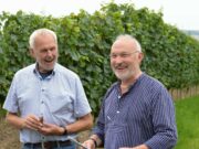 Eine Weinlage mit Geschichte Kirchenstück >>> Spaziergang des Vereins Hechtsheimer Ortsgeschichte