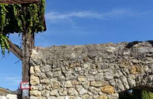 Neue Sitzbank am Otto-Schwabe-Heimatmuseum in der Hochheimer Altstadt Dank an Mainzer Volksbank für die Spende