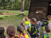 Hirschtaufe im Ostpark: Der neue Hirsch heißt Fridolin!