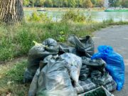RhineCleanUp in Nierstein am 9. September 2023 Umwelt >>> Gemeinsam für ein sauberes Rheinufer