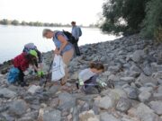 „Rhine CleanUp“ in Oppenheim am 9. September Umwelt >>> Helfende Hände gesucht