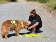 Rettung will geübt sein Verein >>> Training mit tierisch viel Spaß