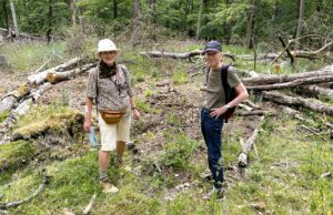 Ausnahmsweise zu zweit: Wilma wandert mit Bengt Fosshag zum Lindensee