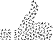Meldeschluss am 31. Dezember