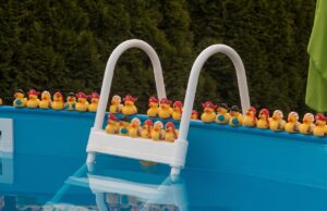 Kreis weist auf korrekte Entsorgung hin Poolwasser ist Abwasser