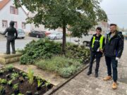 Borngrabenschule übernimmt Grünpatenschaft für Fläche um „Bauschheimer Schellenmann“