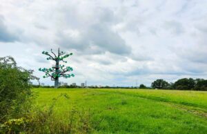 Wilma wandert zum Hexenkreuz und zum Eisenturm Neue Tour auf main-ruesselsheim.de