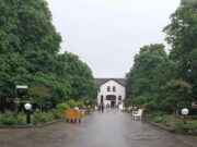 Wanderung „Kostheimer Runde zur Domäne Mechtildshausen“