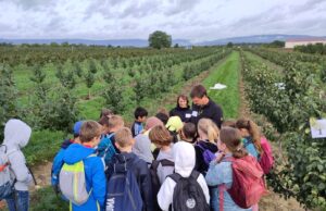 Vor der Haustür – hinter den Kulissen Bauernverein Finthen startete besonderen Aktionstag