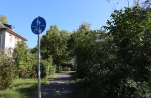 Eine Beleuchtung ist wichtig Ortsbeirat beklagt fehlende Antwort der Verwaltung