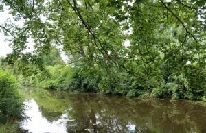 Pilotprojekt an der Horlache übertrifft Zielsetzung
