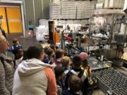 Kinder erleben Stadtkultur zum Anfassen Vorschulkinder der Kita Pusteblume besuchen das Weingut Künstler