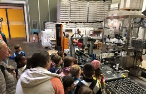 Kinder erleben Stadtkultur zum Anfassen Vorschulkinder der Kita Pusteblume besuchen das Weingut Künstler