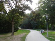 Keine Sportgeräte für den Laubenheimer Park Gründezernentin Janina Steinkrüger erteilt Ortsbeirat eine Absage