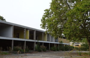 Abrissarbeiten an der alten Grundschule starten Baudezernentin Marianne Grosse informierte den Ortsbeirat über den Projektstand